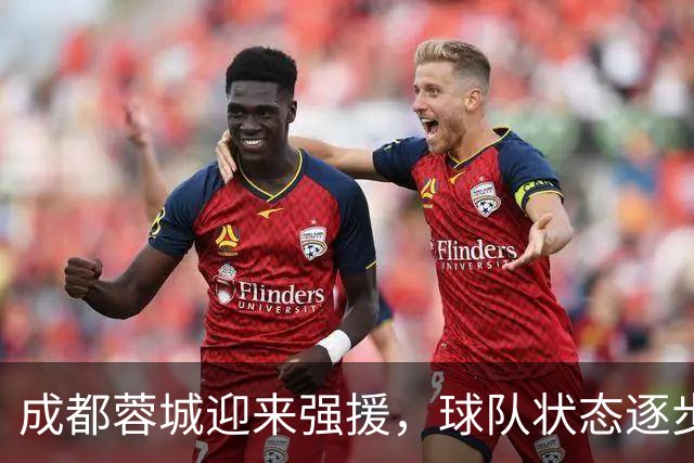 成都蓉城迎来强援，球队状态逐步回暖